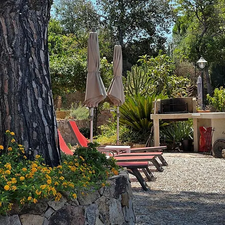 Les Terrasses Du Pano - 95 M2 Au Calme - Jardin - Barbecue - Transats - Pleine Vue - Wifi Fibre Daire